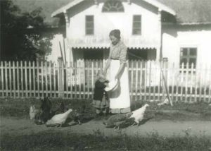 Norske landhøns i Østerdalen ca. 1900. Foto: Johan Teige