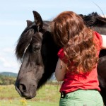 hest_kaldbrodstraver_mjohannessen__mg_0113