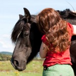 hest_kaldbrodstraver_mjohannessen__mg_0113_1