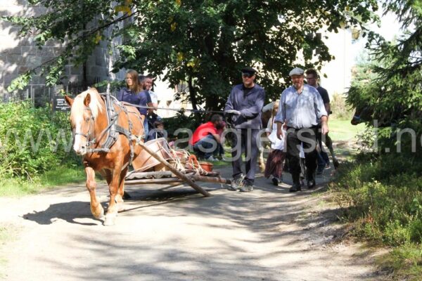 hest_glomdalsmuseet_img_6862