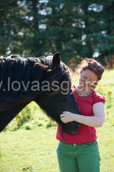 hest_kaldbrodstraver_mjohannessen__mg_0088