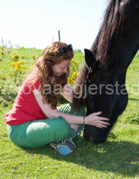 hest_kaldbrodstraver_mjohannessen__mg_0165