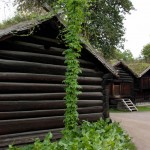 natur_humle_norsk-folkemuseum__mg_1201