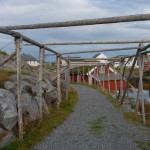 natur_sor-gjaeslingan_rorvik__mg_0493