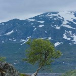 natur_fjell__mg_7056