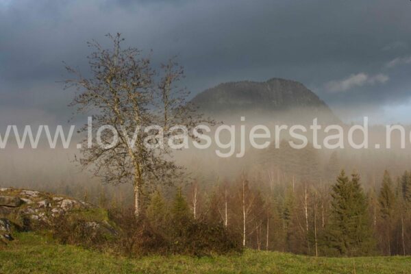 natur_bkulberg__mg_2252