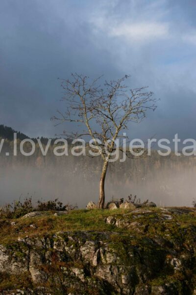 natur_bkulberg__mg_2256