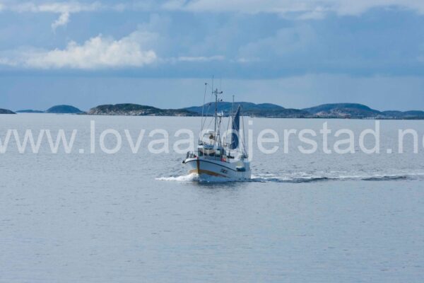 natur_rorvik__mg_0213