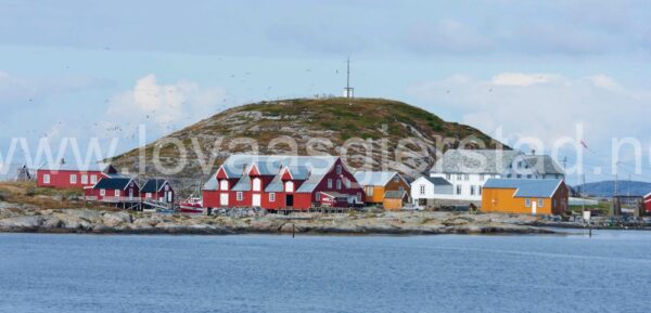 natur_sor-gjaeslingan_rorvik__mg_0302