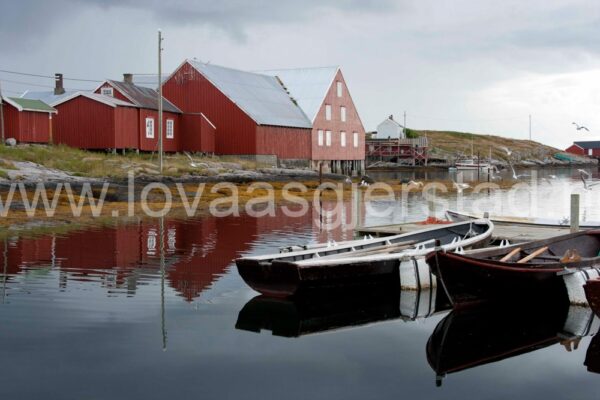 natur_sor-gjaeslingan_rorvik__mg_0393