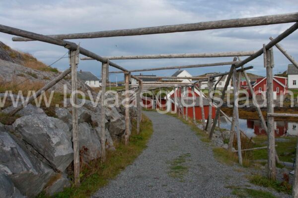 natur_sor-gjaeslingan_rorvik__mg_0493