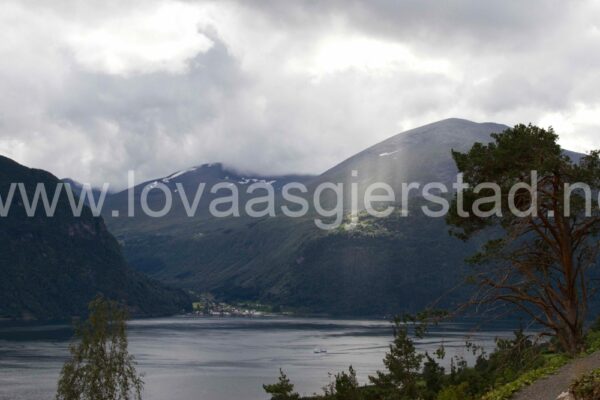 natur_valldal_img_5473