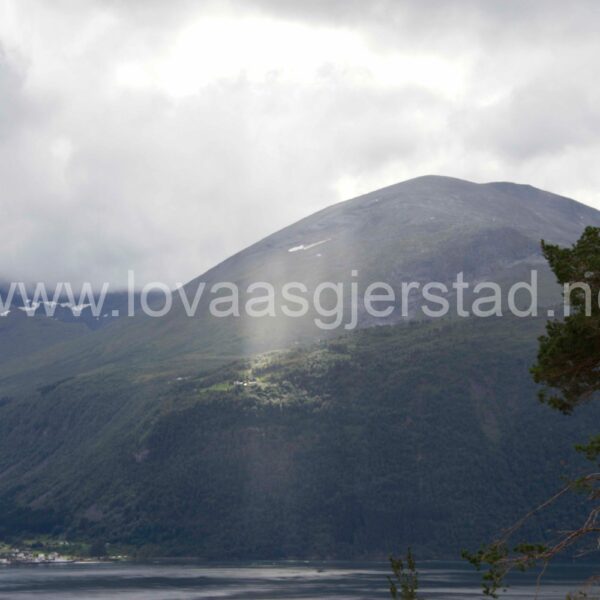 natur_valldal_img_5475