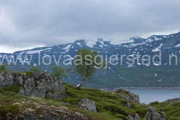 natur_fjell__mg_7052-2