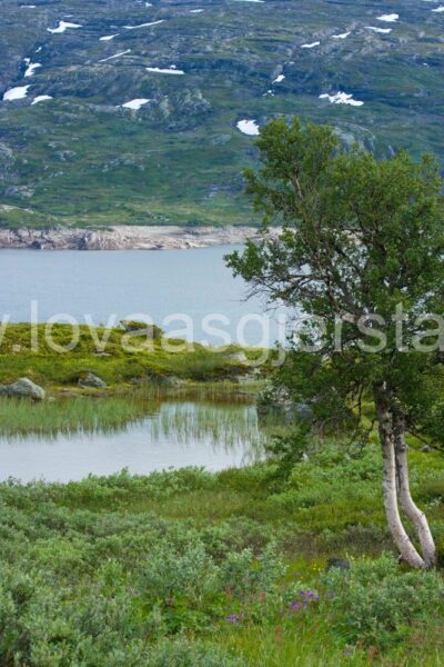 natur_fjell__mg_7053-2