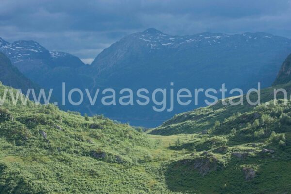 natur_fjell__mg_7067