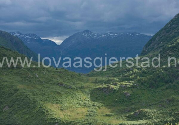 natur_fjell__mg_7076