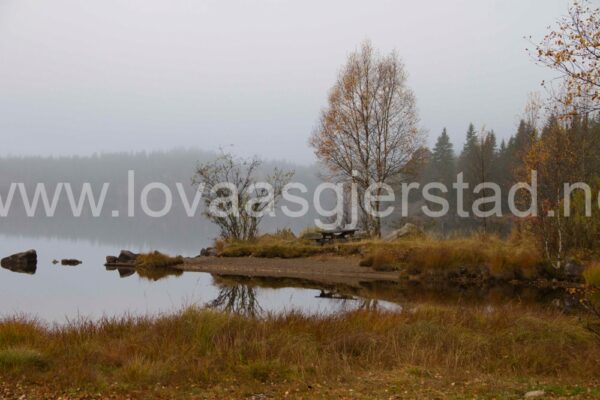 natur_nordmarka_img_2934