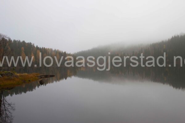 natur_nordmarka_img_2935