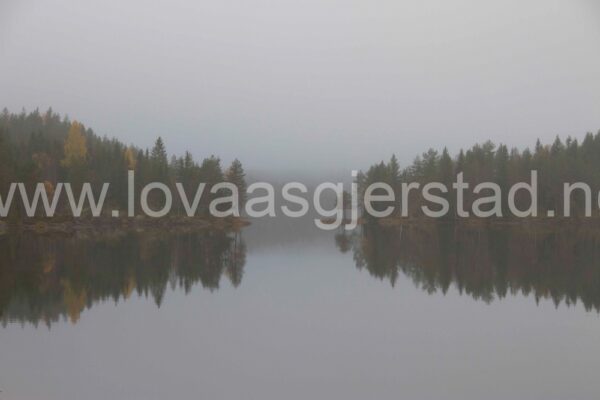 natur_nordmarka_img_2944