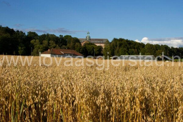 natur_landbruk_as_img_5017