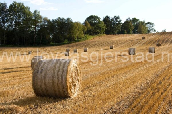 natur_landbruk_as_img_5028